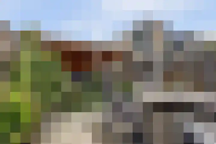 Annadaal 39 Ede thumbnail 47