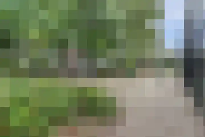Annadaal 39 Ede thumbnail 54