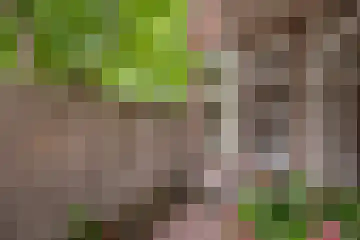 Annastraat 29 Delft thumbnail 16