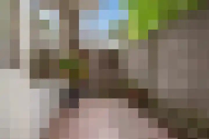 Annastraat 29 Delft thumbnail 17