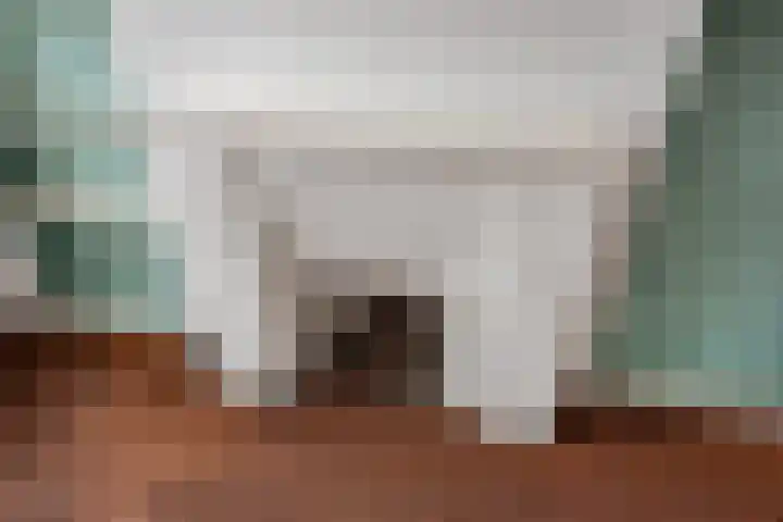 Annastraat 29 Delft thumbnail 27