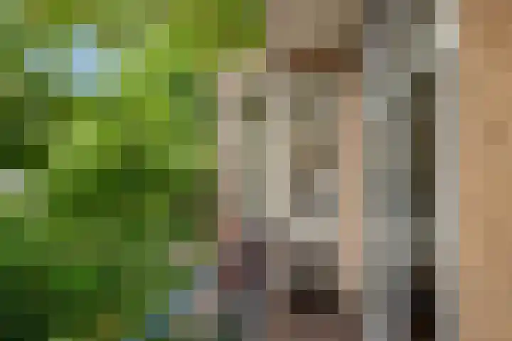 Annastraat 29 Delft thumbnail 6