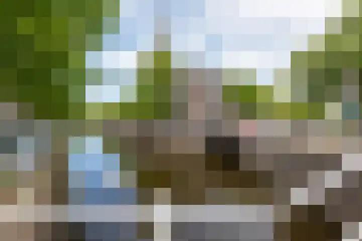 Annastraat 35 Delft thumbnail 30