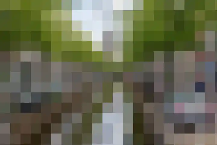 Annastraat 35 Delft thumbnail 31