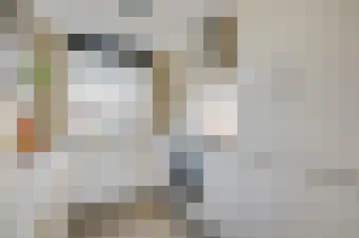 Annastraat 6 Velp thumbnail 11