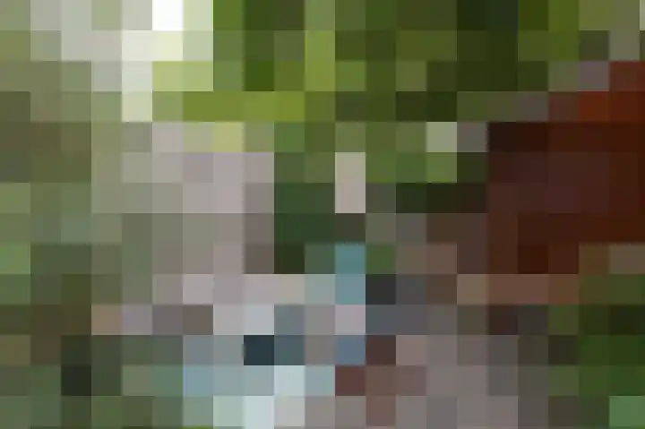 Annastraat 6 Velp thumbnail 26