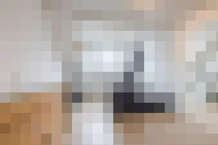 Anne Franklaan 5 Pijnacker thumbnail 21