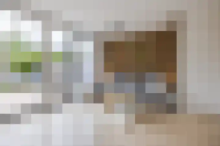 Anne Franklaan 5 Pijnacker thumbnail 5