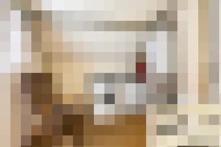 Foto von Anne-Roos van de Bunte - Sellies