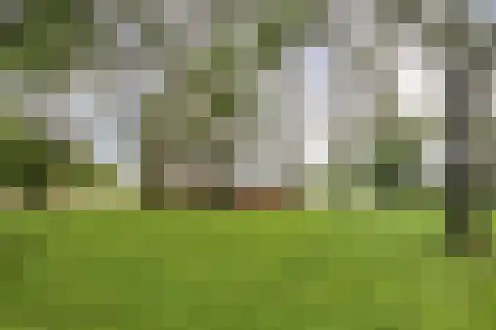 Foto von Anne Stenekes