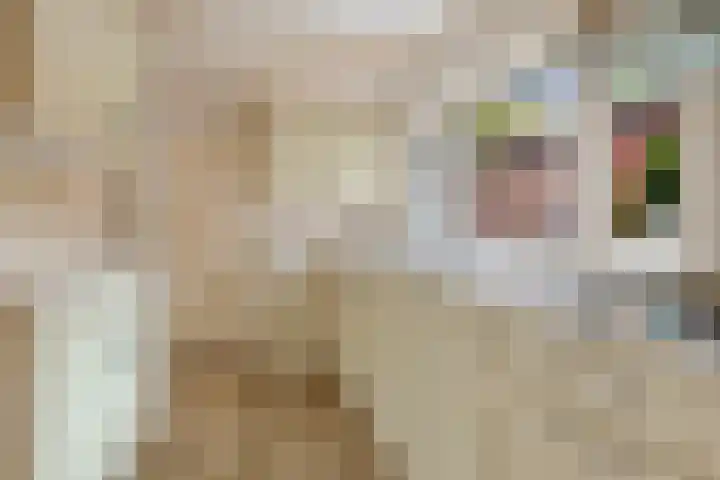 Foto van Anne-Wil van Loon