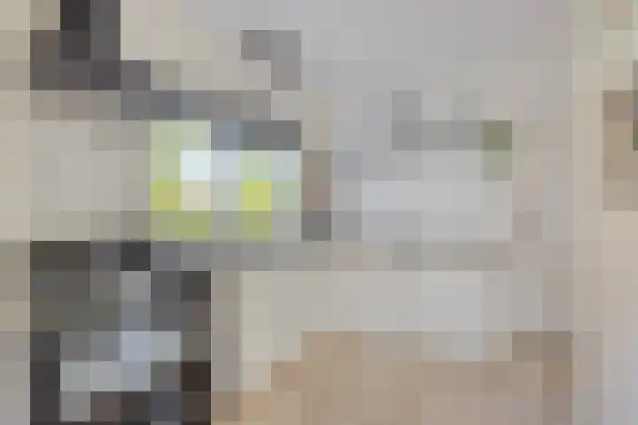 Annerweg 25 Anloo thumbnail 21