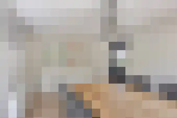 Annerweg 25 Anloo thumbnail 27