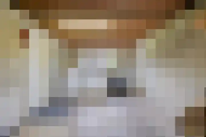 Annerweg 25 Anloo thumbnail 29