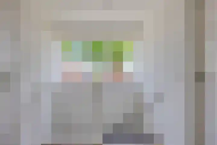 Annerweg 25 Anloo thumbnail 30