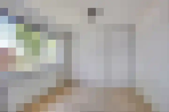 Annerweg 25 Anloo thumbnail 32
