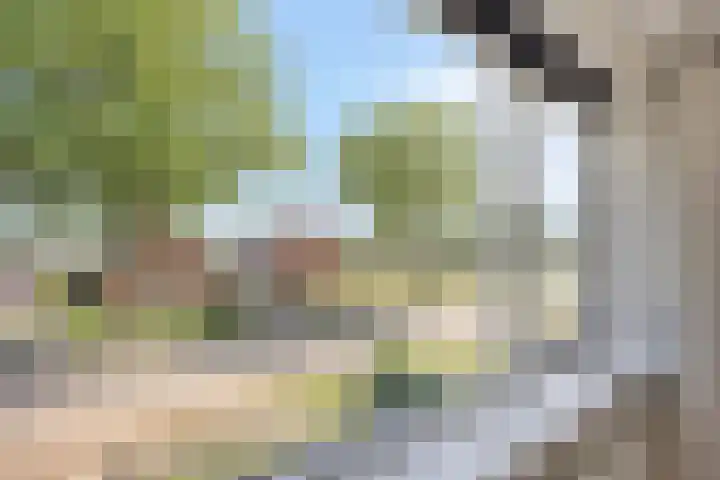 Annerweg 25 Anloo thumbnail 33