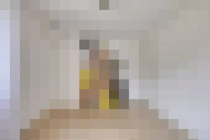 Annerweg 25 Anloo thumbnail 35
