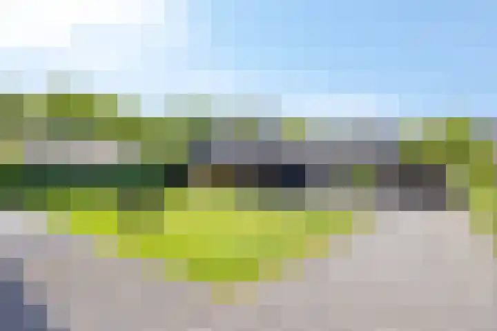 Annerweg 25 Anloo thumbnail 45