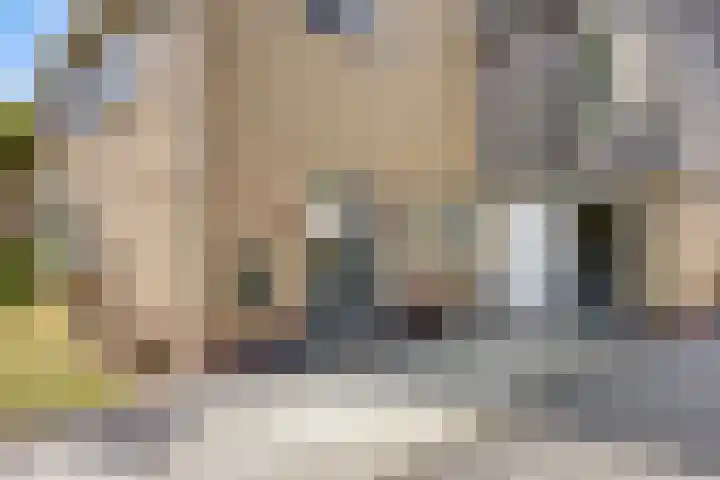 Annerweg 25 Anloo thumbnail 5