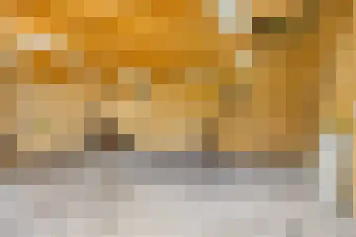 Annerweg 25 Anloo thumbnail 52