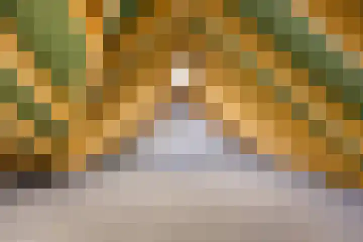 Annerweg 25 Anloo thumbnail 55