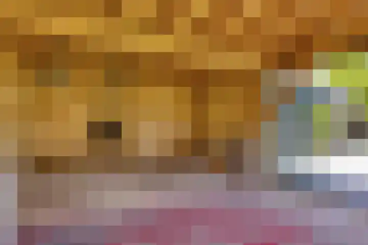 Annerweg 25 Anloo thumbnail 58