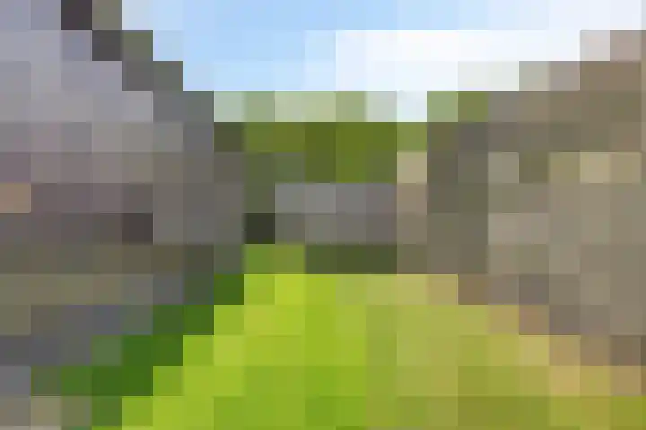 Annerweg 25 Anloo thumbnail 61