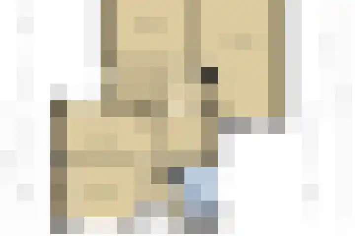Annerweg 25 Anloo thumbnail 63