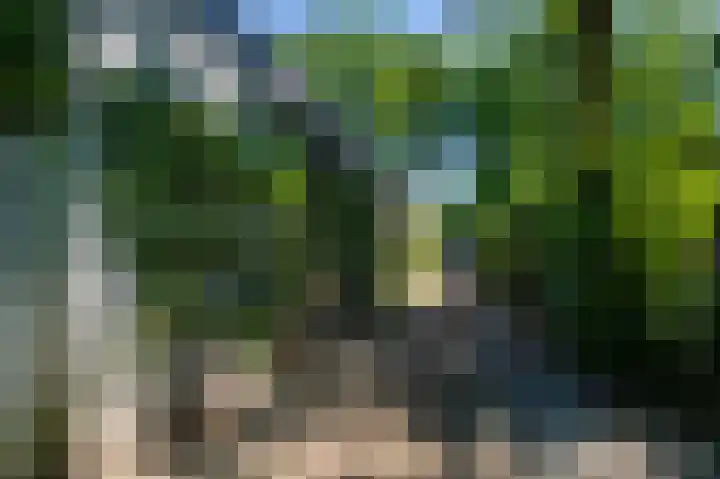 Annerweg 25 Anloo thumbnail 67