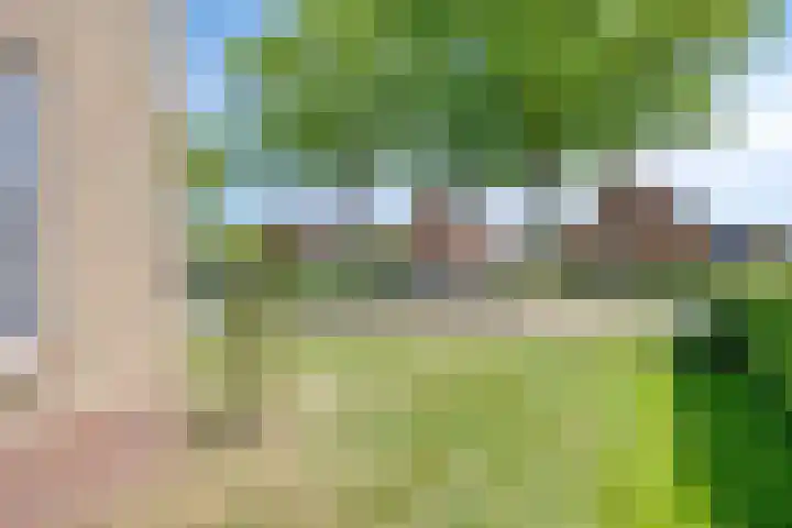 Annerweg 25 Anloo thumbnail 7