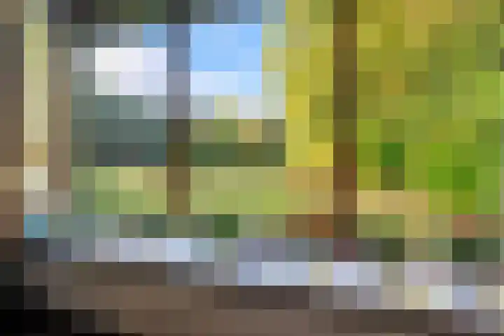 Annerweg 4 Eext thumbnail 16