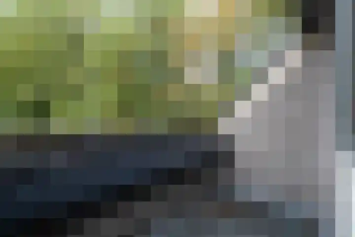 Annerweg 4 Eext thumbnail 39