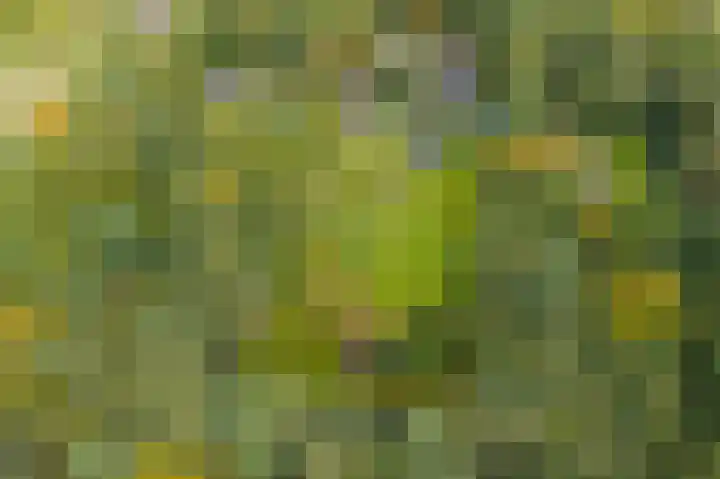 Annerweg 4 Eext thumbnail 4