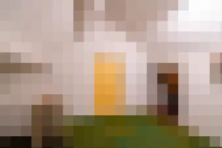 Annerweg 4 Eext thumbnail 48