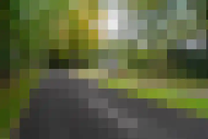 Annerweg 4 Eext thumbnail 5