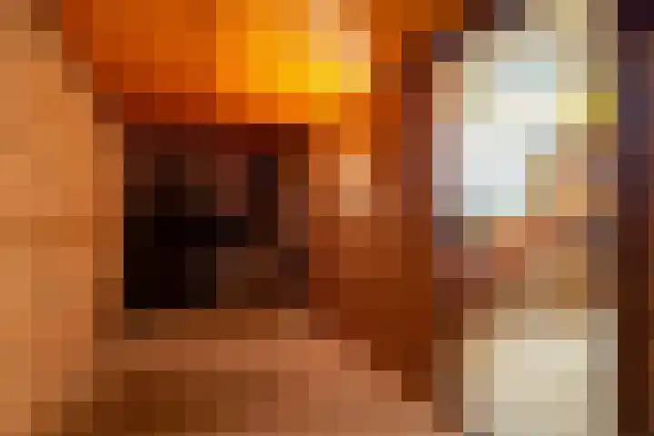 Annerweg 4 Eext thumbnail 50