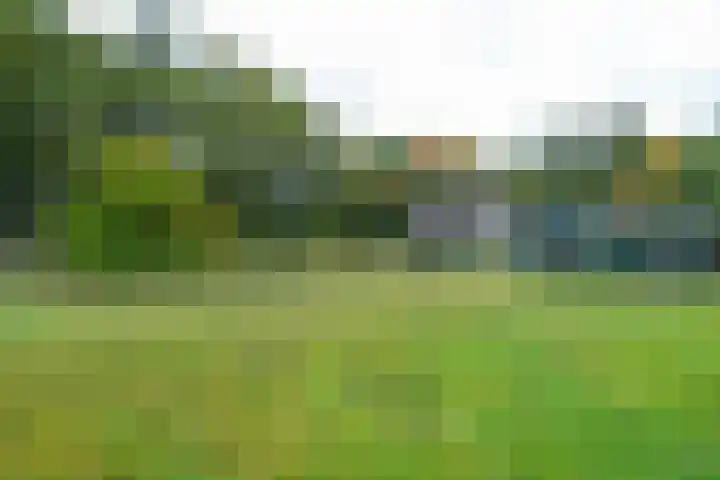 Annerweg 4 Eext thumbnail 55