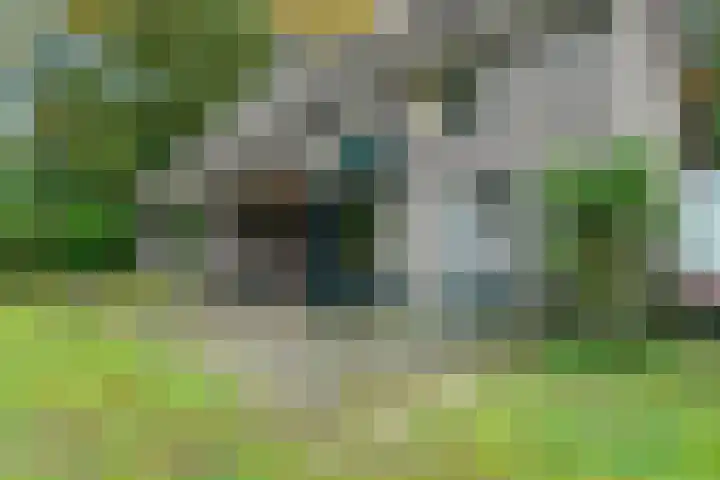 Annerweg 4 Eext thumbnail 57