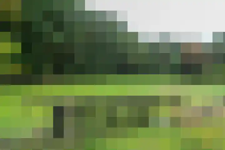 Annerweg 4 Eext thumbnail 59