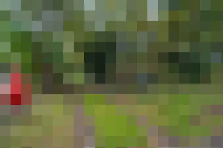 Annerweg 4 Eext thumbnail 6