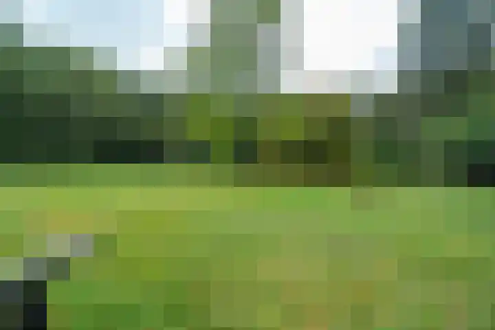Annerweg 4 Eext thumbnail 61