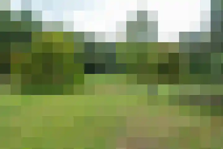 Annerweg 4 Eext thumbnail 62