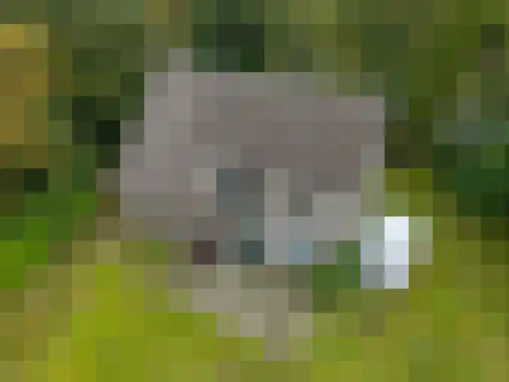 Annerweg 4 Eext thumbnail 63