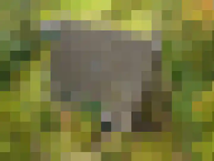 Annerweg 4 Eext thumbnail 64