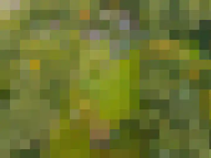 Annerweg 4 Eext thumbnail 65