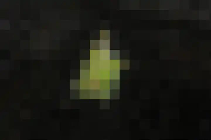 Annerweg 4 Eext thumbnail 66