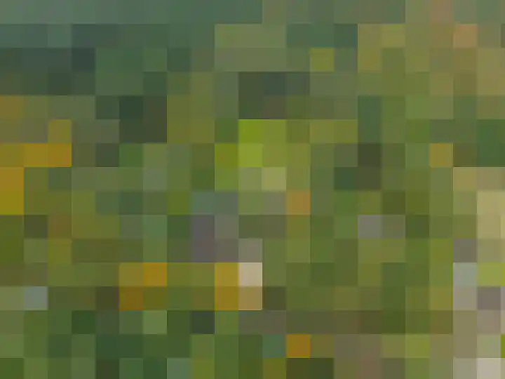 Annerweg 4 Eext thumbnail 67