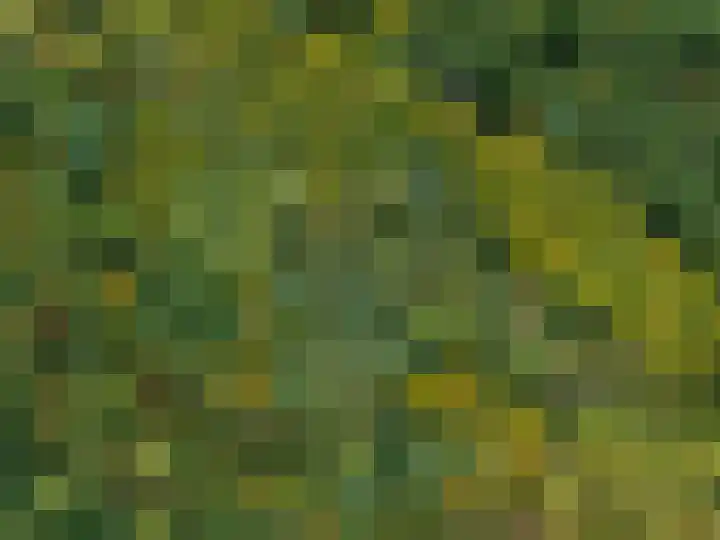 Annerweg 4 Eext thumbnail 69