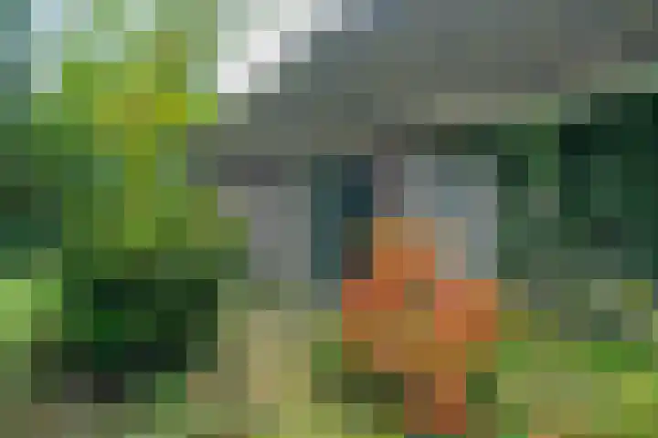 Annerweg 4 Eext thumbnail 7